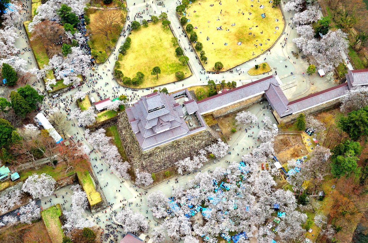 航空撮影